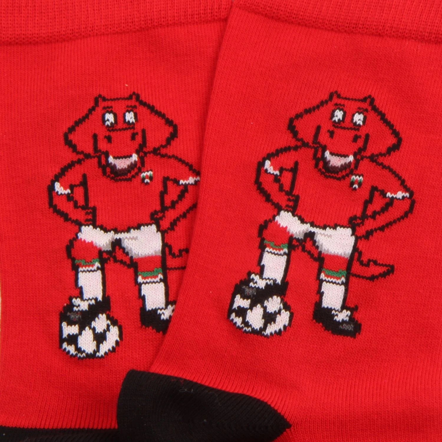 Corgi Wrex Mascot Socks