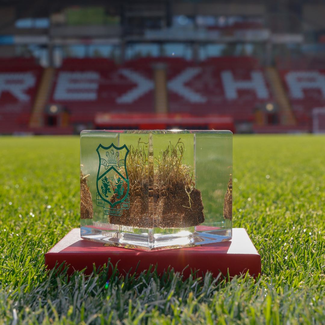 Cubo de césped - Cresta verde