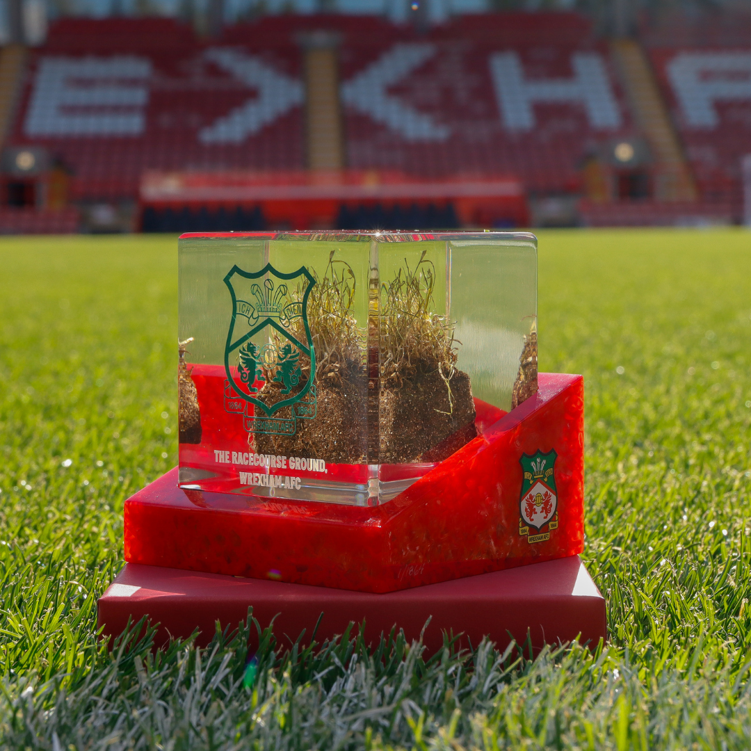 Cubo de césped - Cresta verde