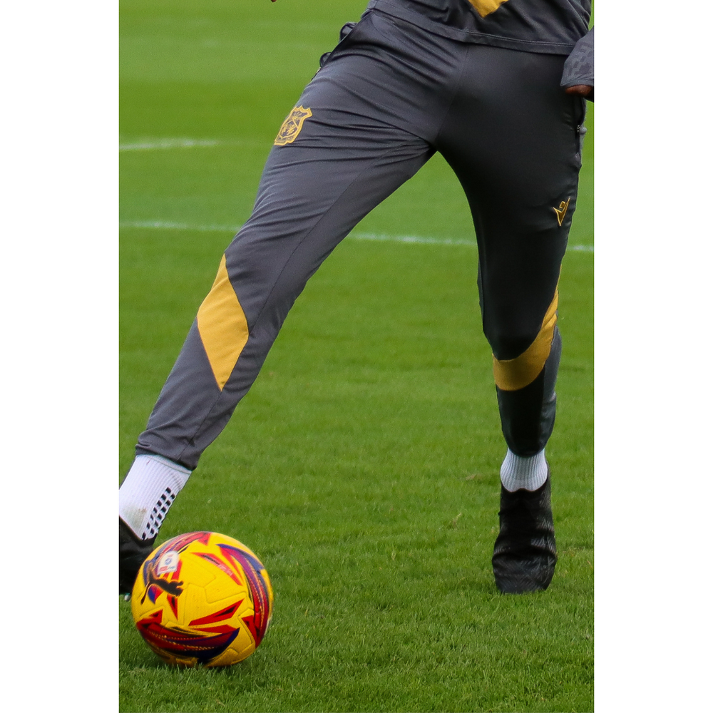 Trunks Training Pants (Gold)