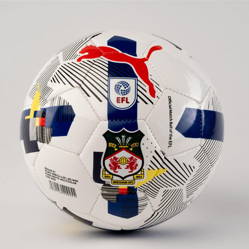 Puma Mini Football