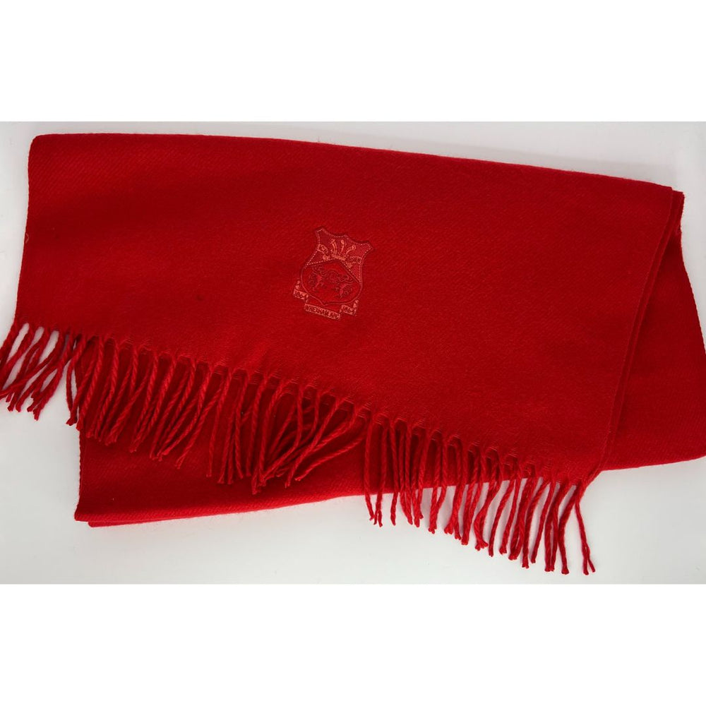 Red Dress Scarf