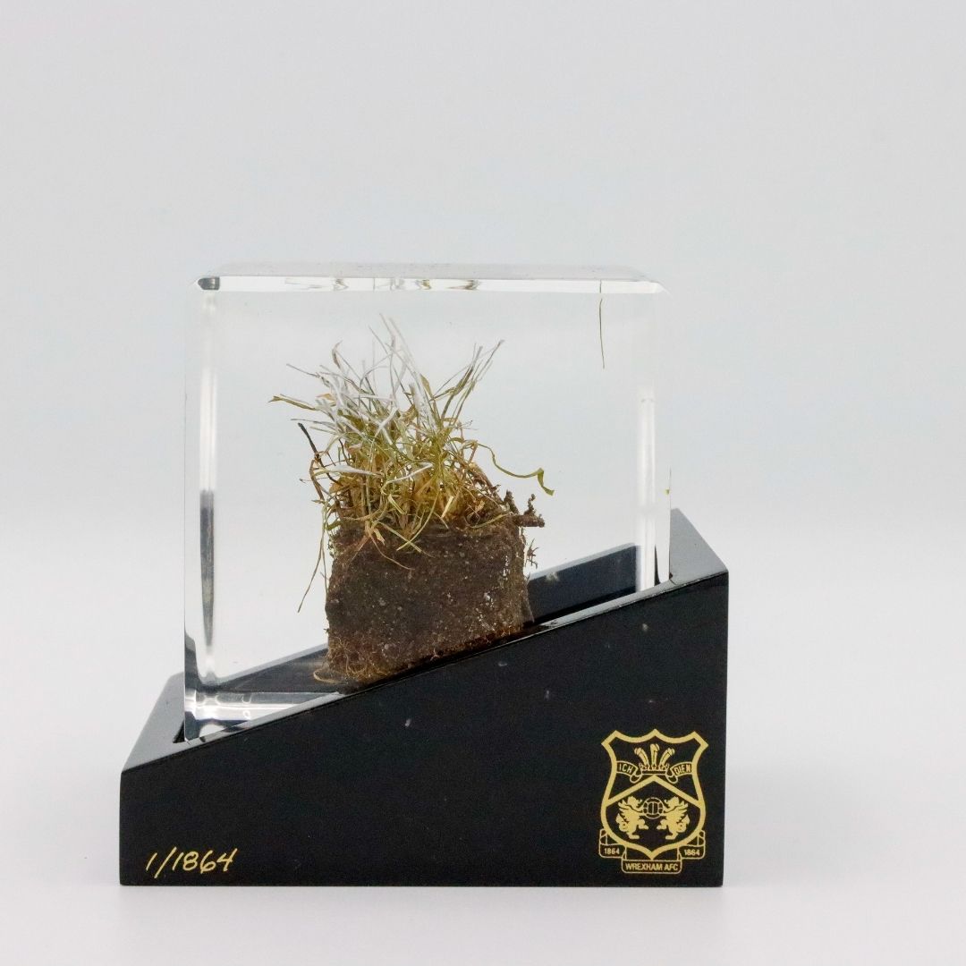 Turf Cube - Limited Edition