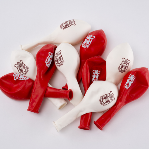Pack of 10 Balloons