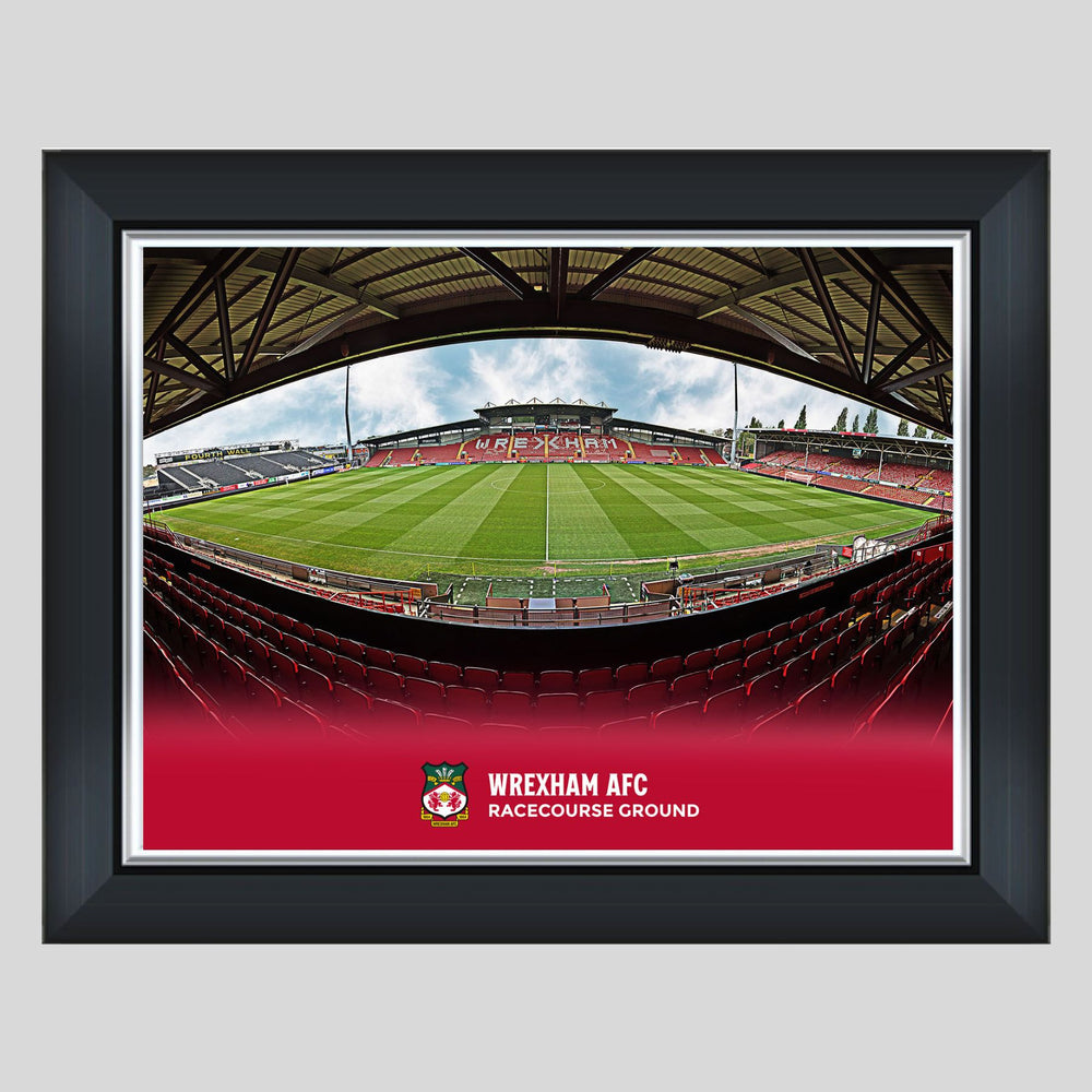 16x12” Framed Print - The Racecourse
