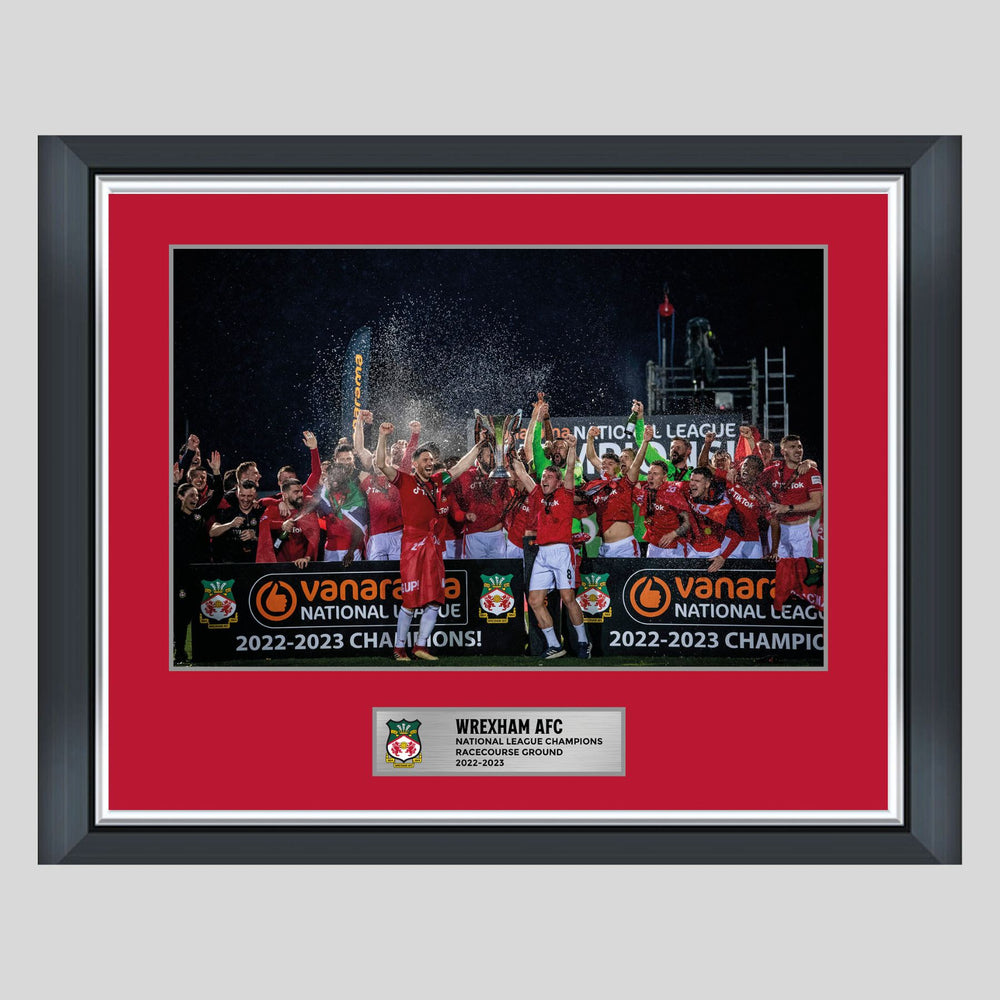20x16” Framed Print - National League Champions