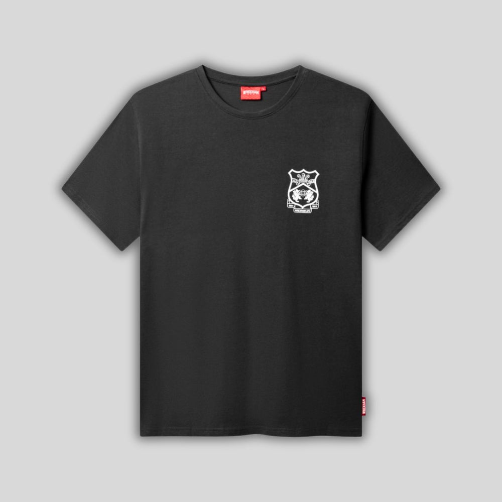 T-shirt dragon gris Wrexham