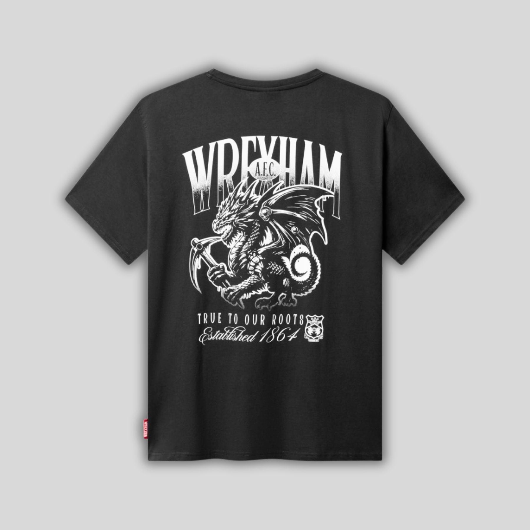T-shirt dragon gris Wrexham