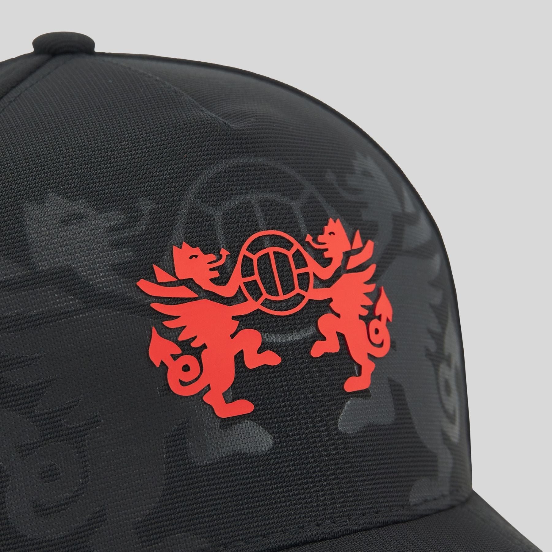 26/27 Slate Dragon Cap