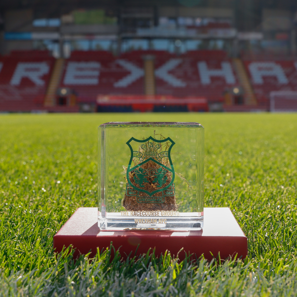 Cubo de césped - Cresta verde