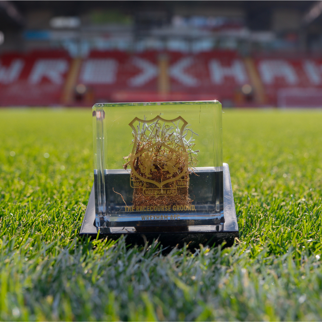 Turf Cube - Limited Edition