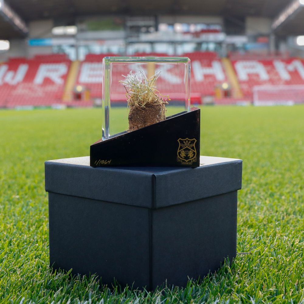 Turf Cube - Limited Edition