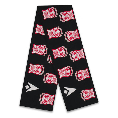 WAFC Blanket Scarf