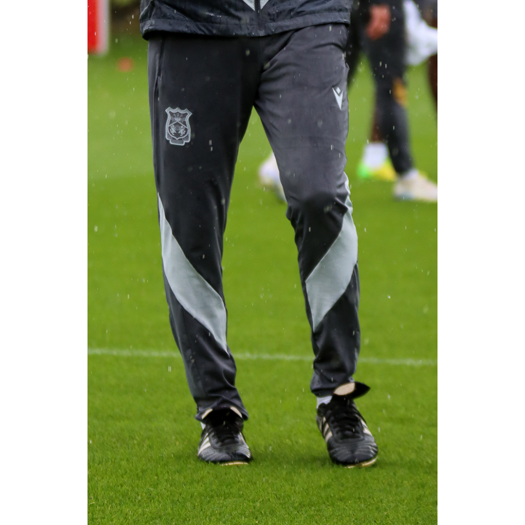 Trunks Training Pants (Silver)