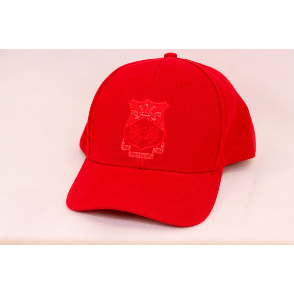 Cap Snapback WAFC - Coch