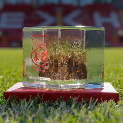 Turf Cube - Red Crest