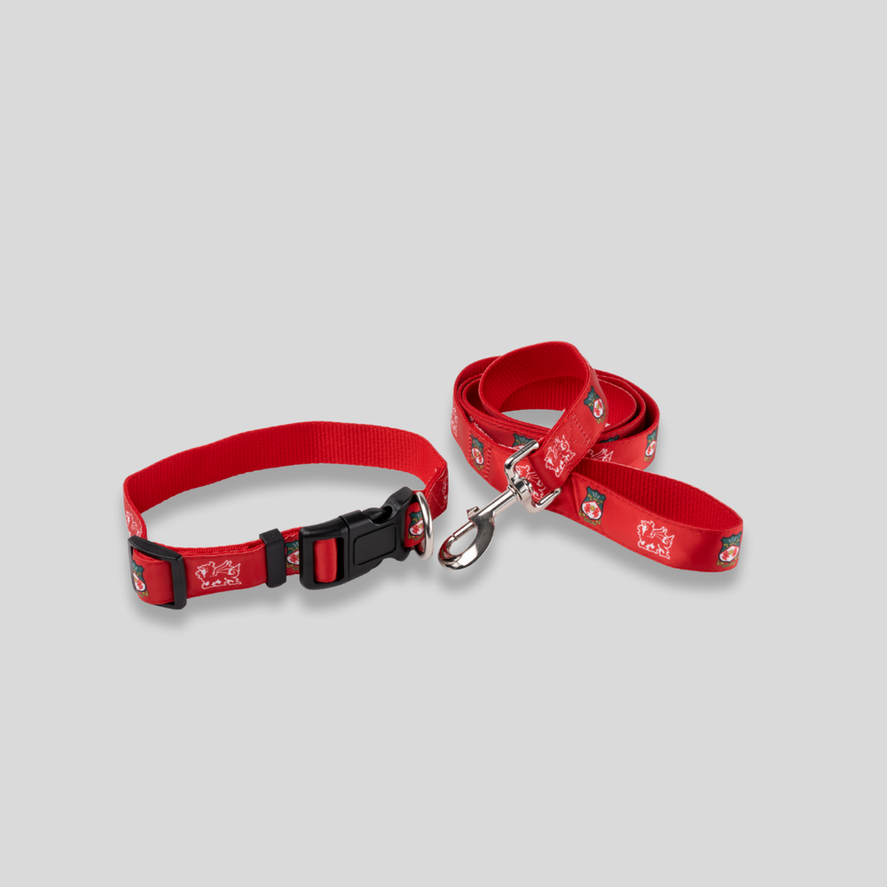 WAFC Dog Collar & Lead