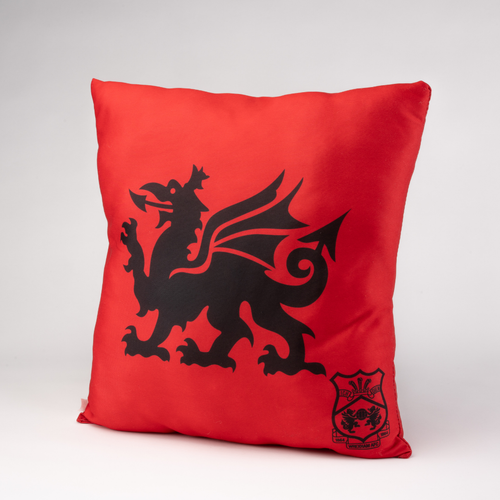 WAFC Dragon Cushion