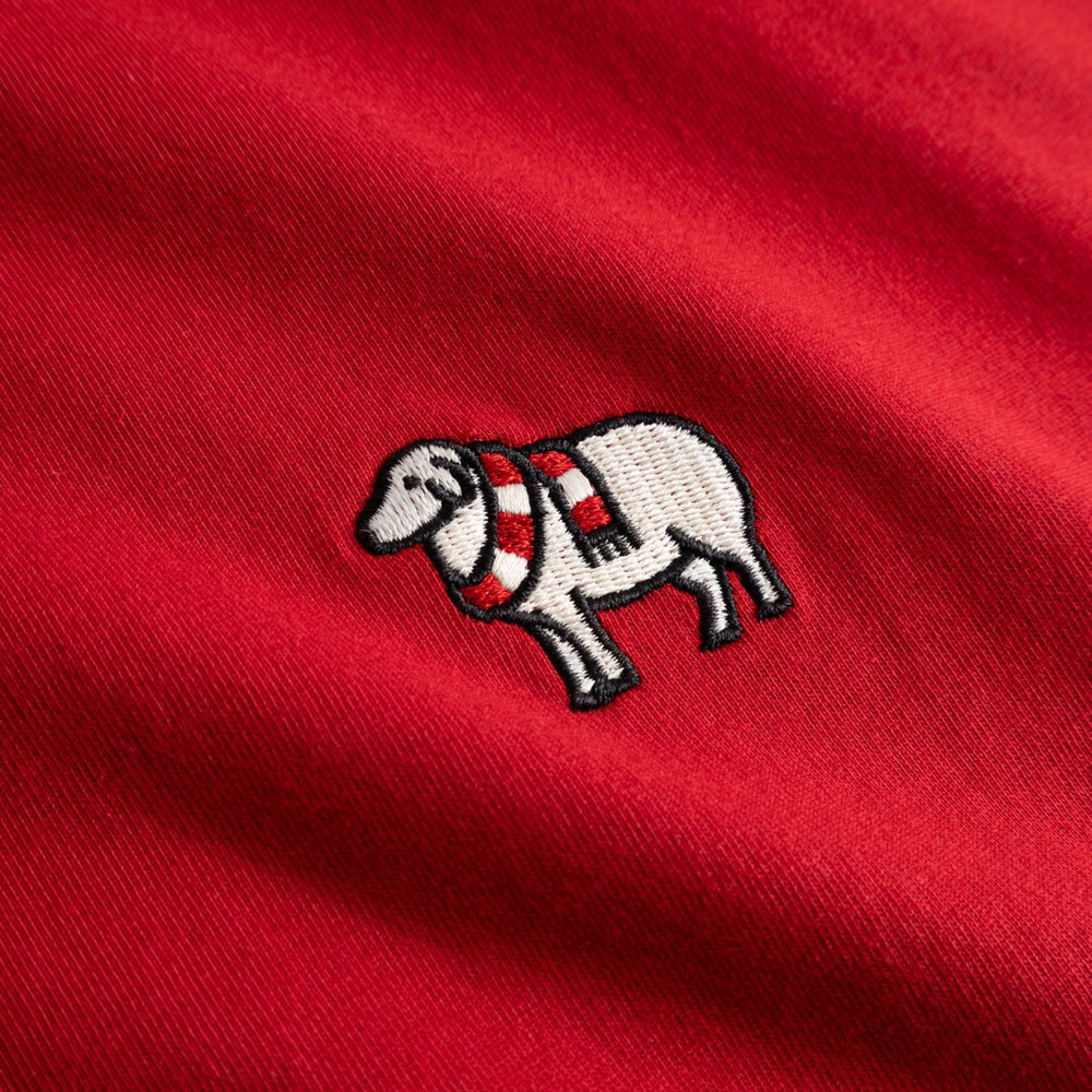 WAFC Erddig T-Shirt - Red